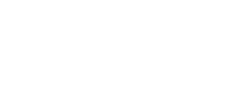 Partner 1